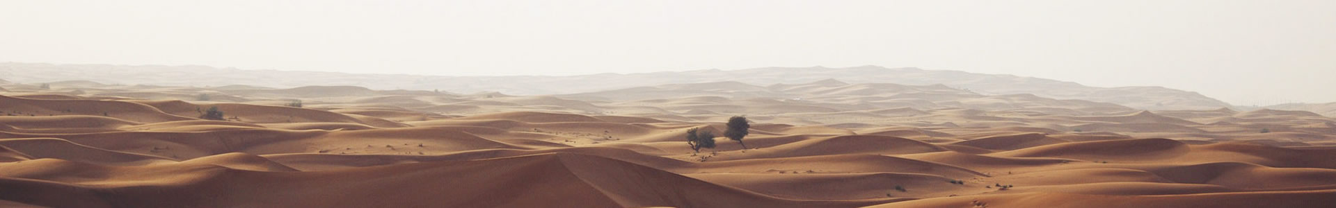 ݺʵ޹˾